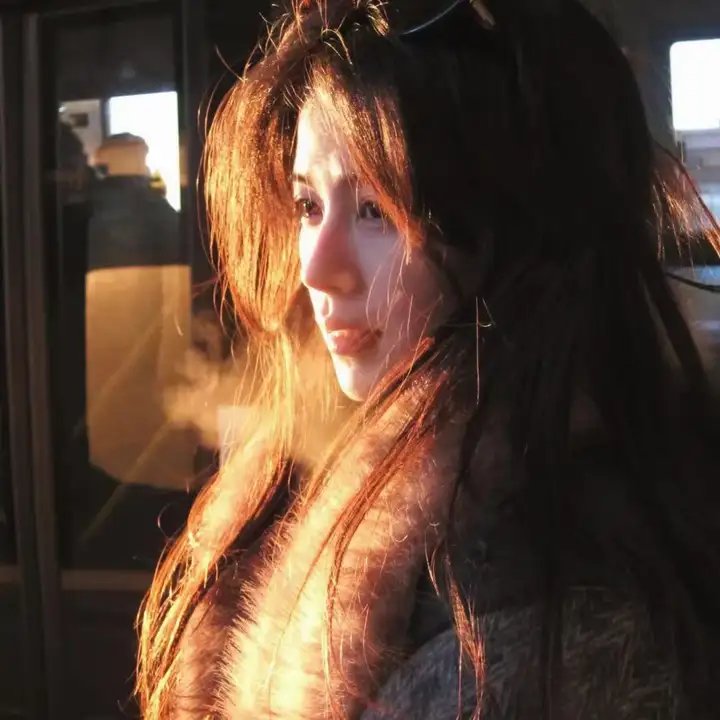 我的老婆是只猫