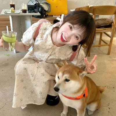 校园合唱团的秘密